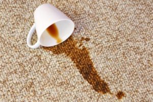 Stain and odour treatment